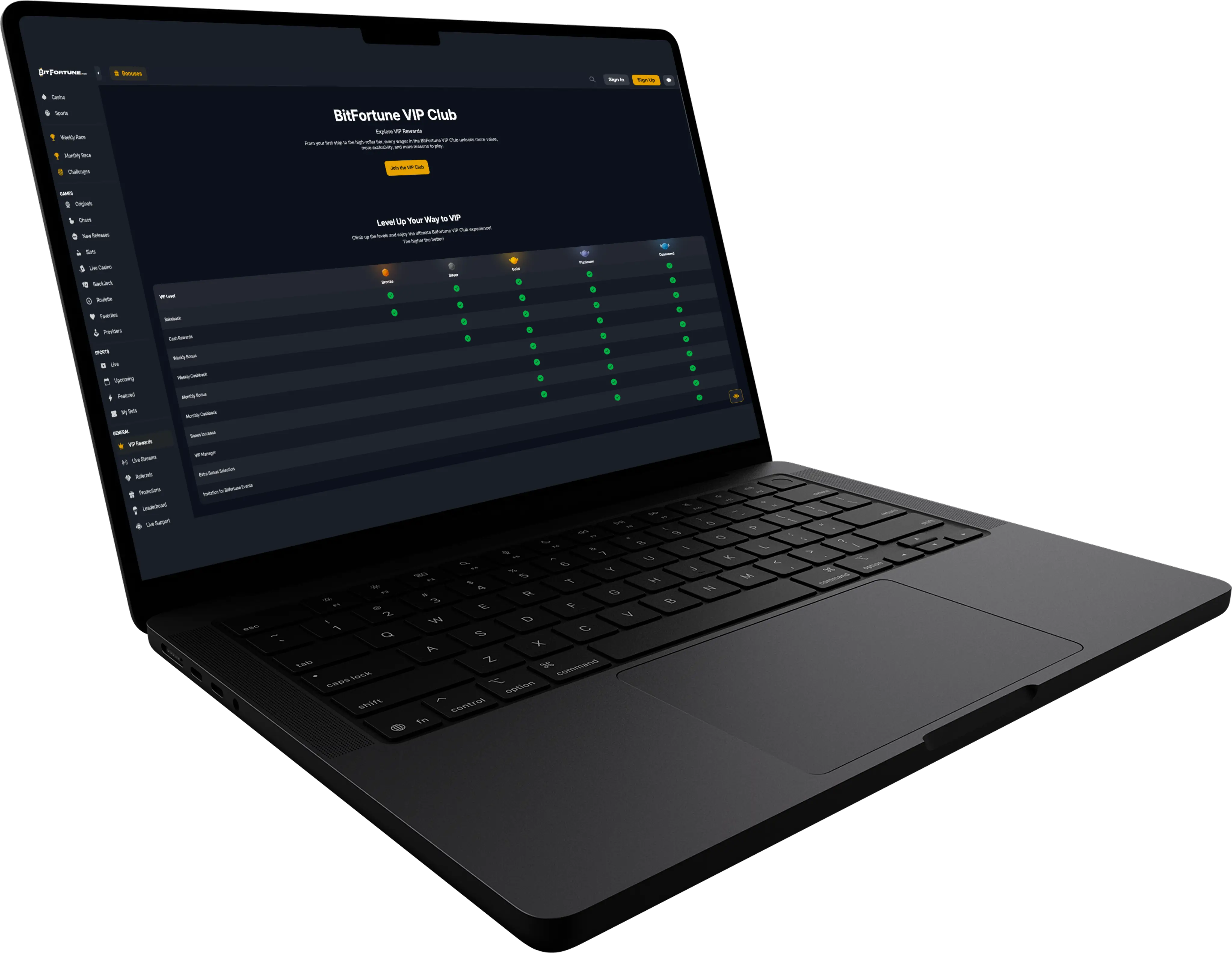 Bitfortune VIP program